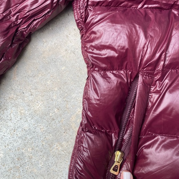 Winter Jacket - Picture 3 of 8